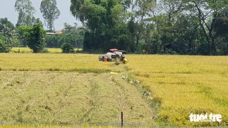 Yêu cầu chuyển từ tư duy sản xuất sang kinh tế nông nghiệp xanh - Ảnh 2.