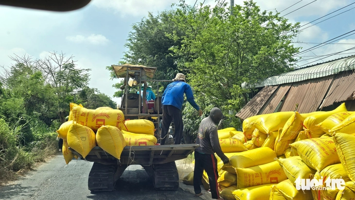 kinh tế nông nghiệp - Ảnh 3.