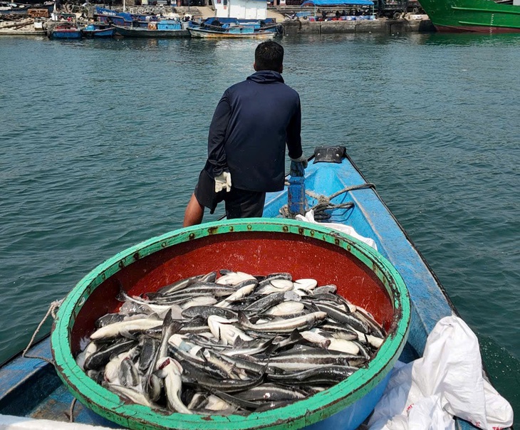 Lý Sơn - Ảnh 2.