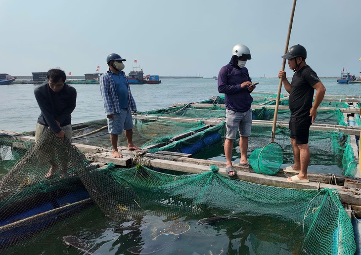 Lý Sơn - Ảnh 3.