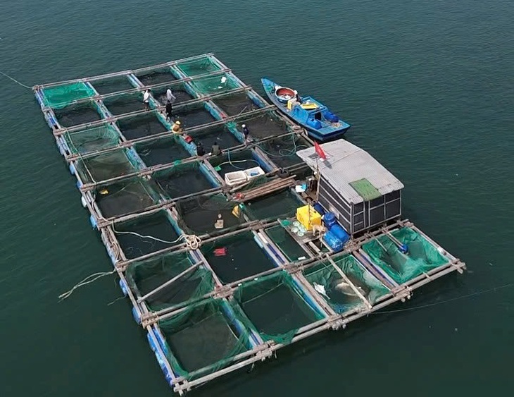 Lý Sơn - Ảnh 4.