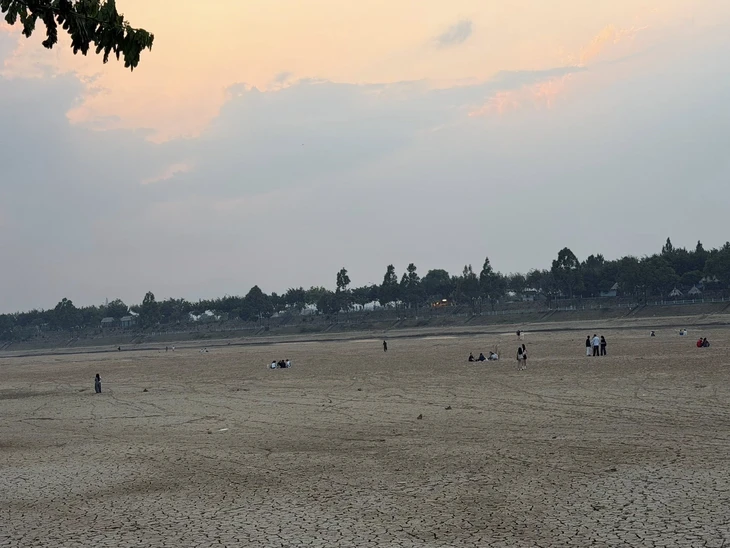 Dòng chảy sông Đăk Bla, Pô Kô giảm sâu, nguy cơ hạn hán lan rộng phía Tây Quảng Ngãi - Ảnh 3.