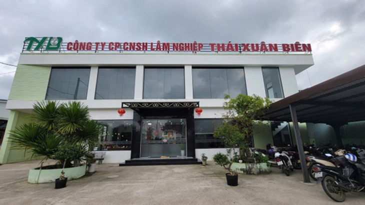 rừng xanh - Ảnh 1.