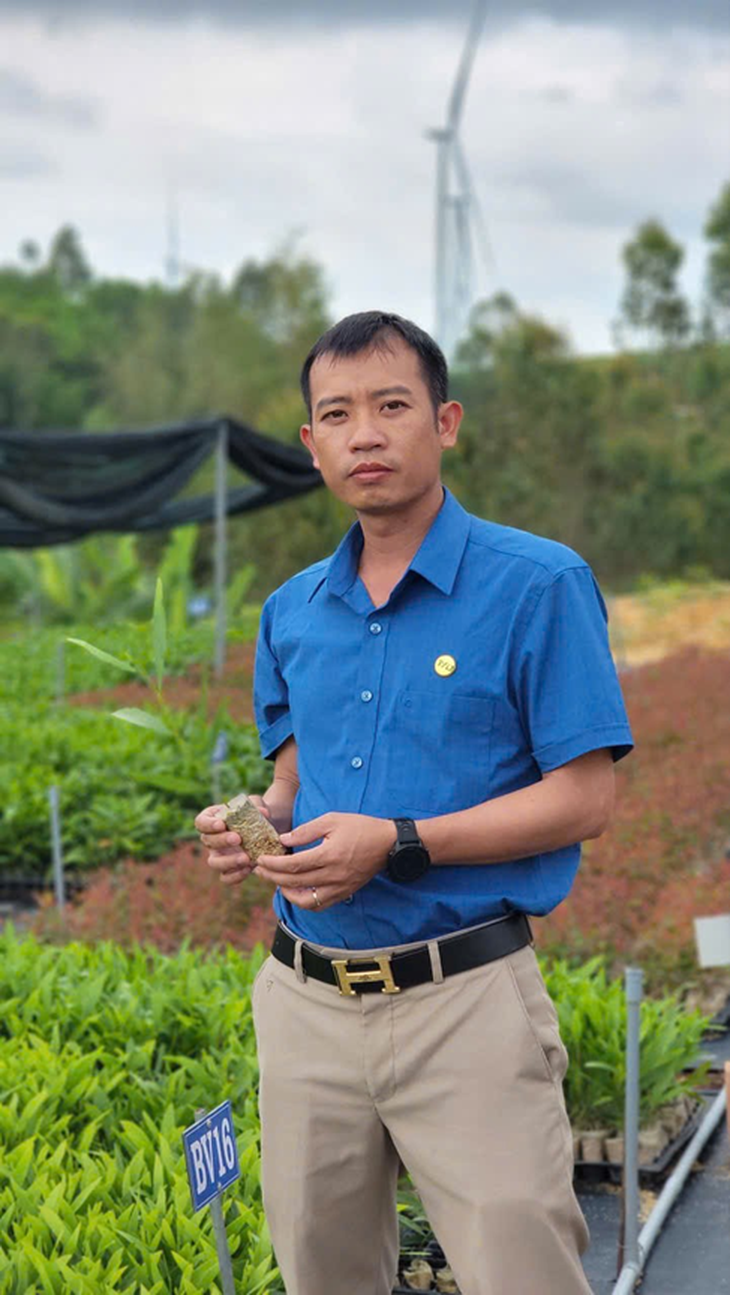 Từ phòng nuôi cấy mô đến những cánh rừng xanh - Ảnh 4.