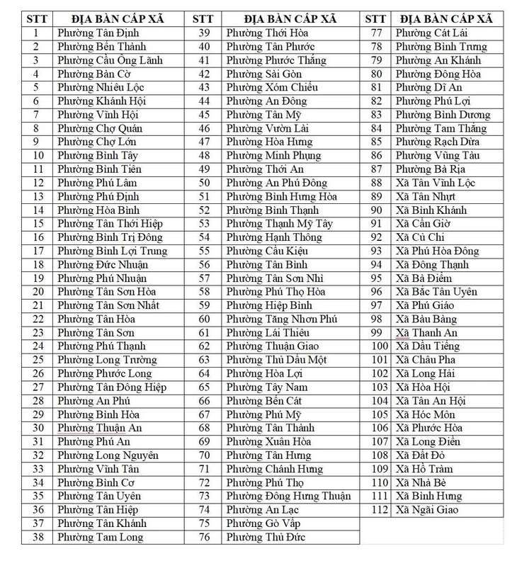 chủ tịch UBND cấp xã - Ảnh 3.