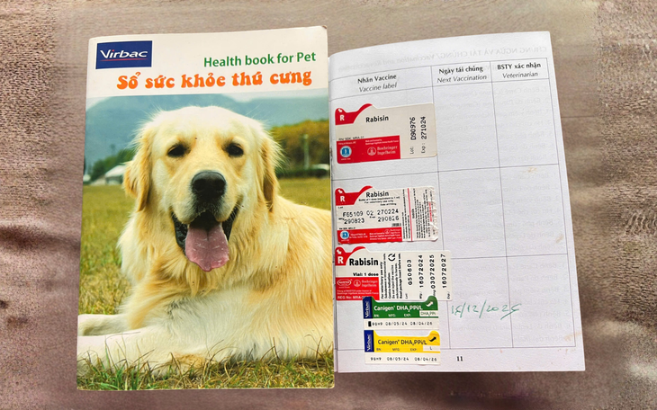 Dai-ichi Life Việt Nam trồng 6.000 cây xanh tại thảo nguyên Bùi Hui, tỉnh Quảng Ngãi - Ảnh 5.