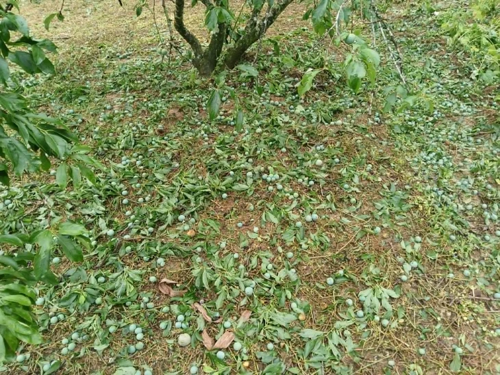 mưa đá - Ảnh 6.