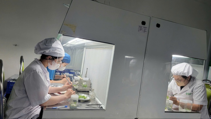 rừng xanh - Ảnh 4.