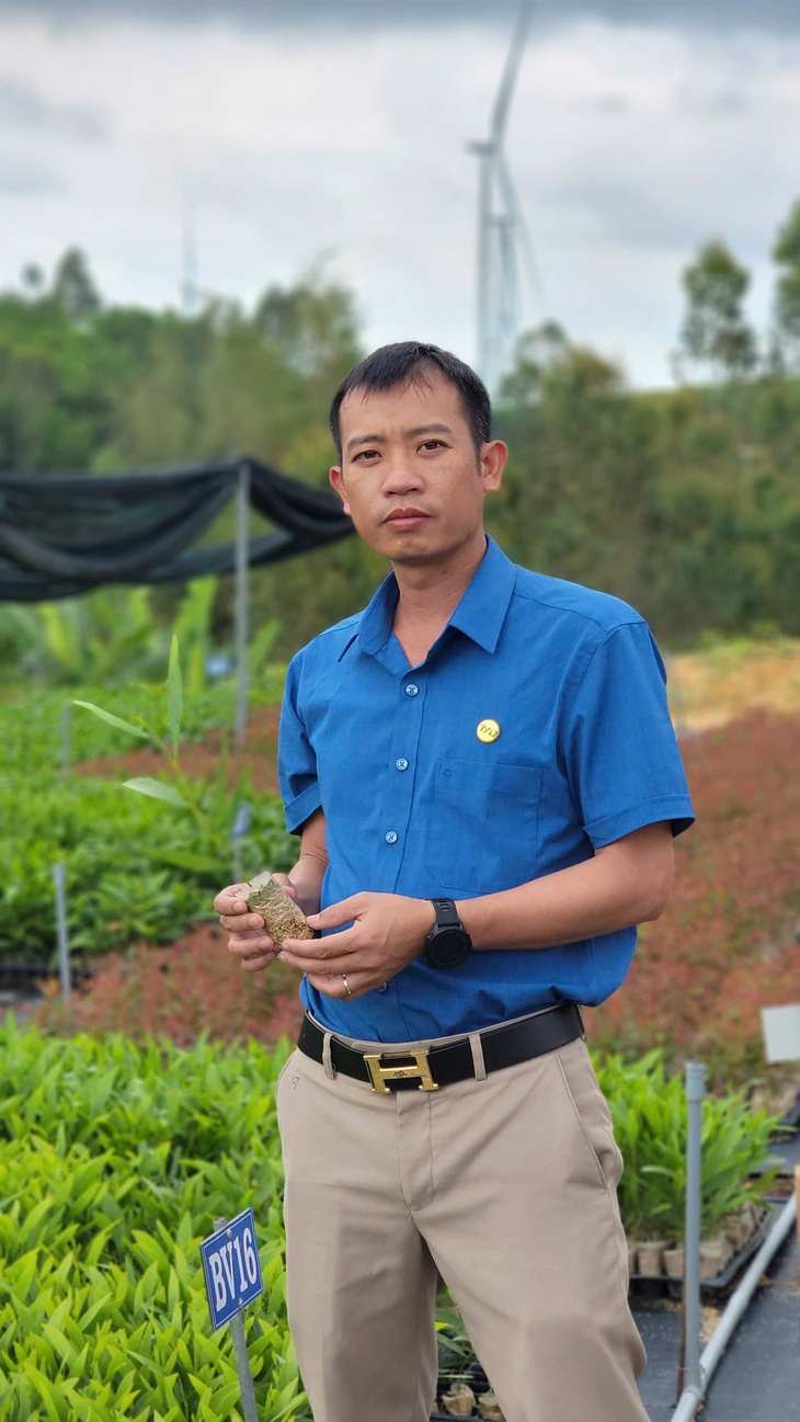 Từ phòng nuôi cấy mô đến những cánh rừng xanh - Ảnh 5.