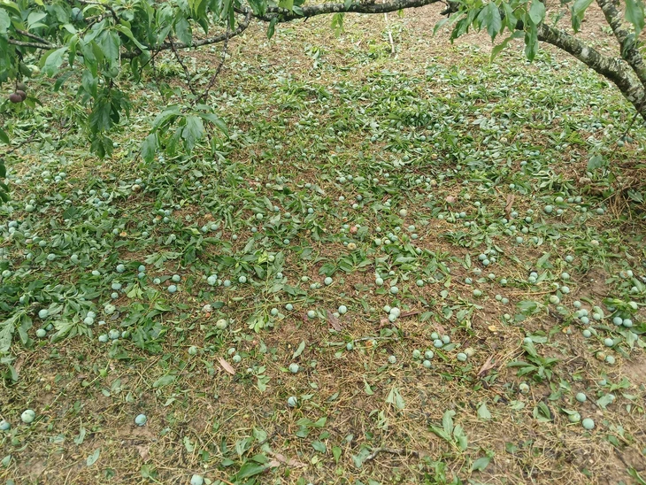 mưa đá - Ảnh 6.