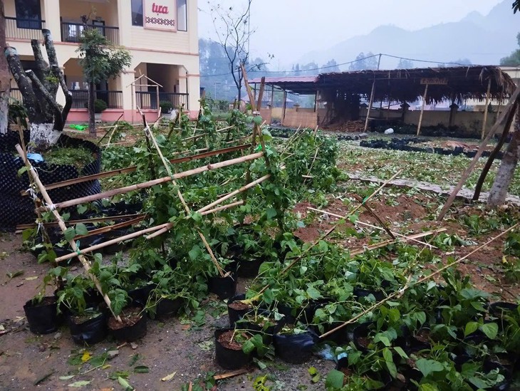 mưa đá - Ảnh 7.