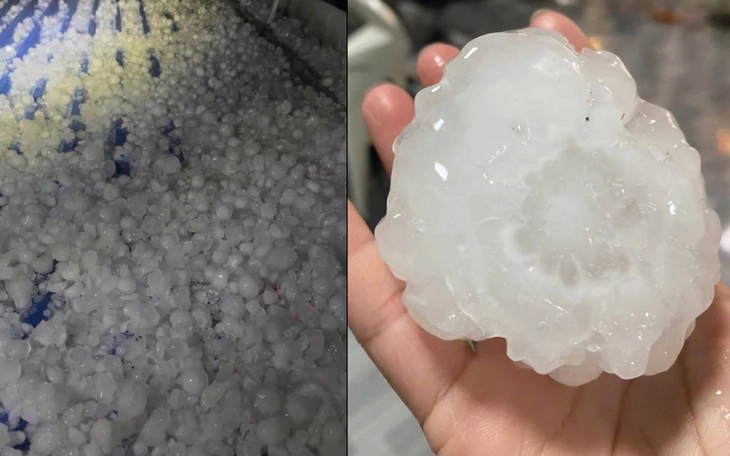 Mưa đá dội xuống Tu Mơ Rông, nhiều diện tích cây trồng thiệt hại - Ảnh 4.