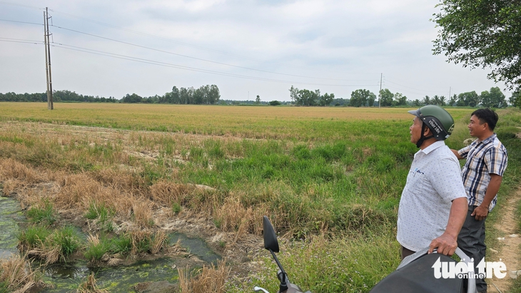 ô nhiễm - Ảnh 2.