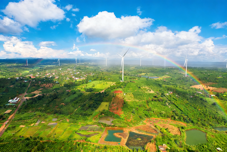 Hoa Điện  - Ảnh 3.