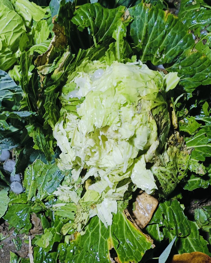 mưa đá - Ảnh 5.