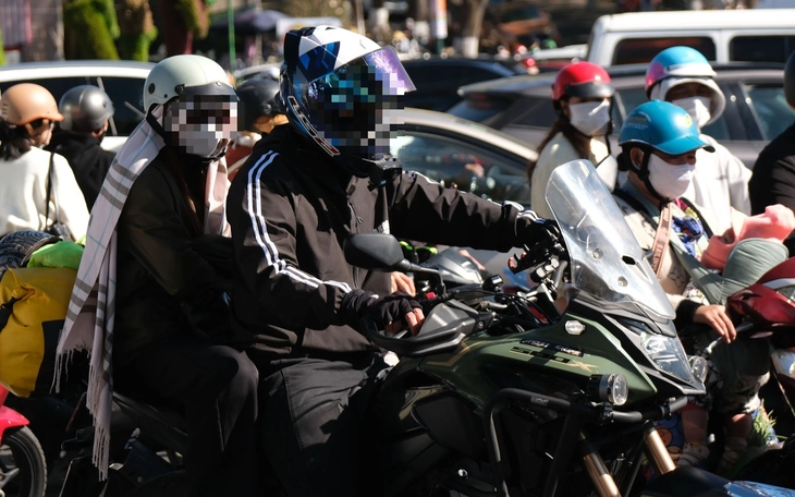 Tê tê bò vào tầng hầm quán nhậu ở Đà Lạt, chủ quán gọi kiểm lâm - Ảnh 4.