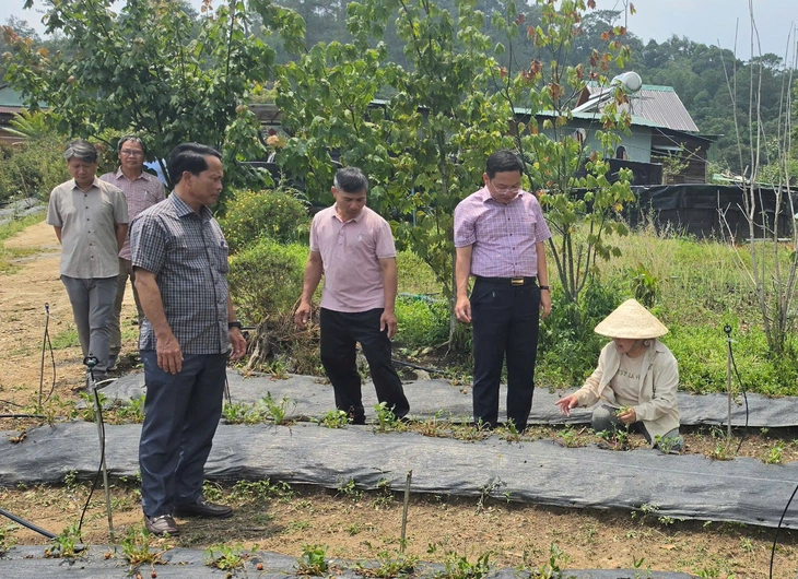 mưa đá - Ảnh 2.