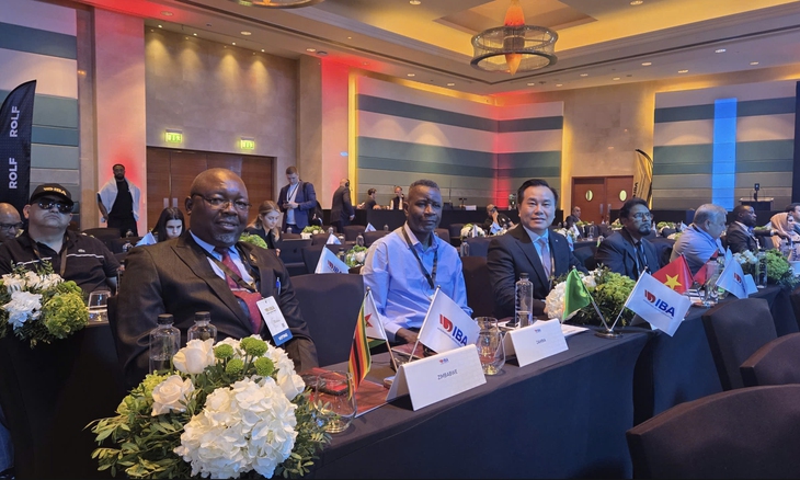 Quyền anh Việt Nam - Ảnh 1.