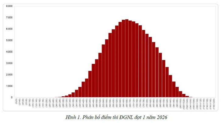 đánh giá năng lực - Ảnh 3.