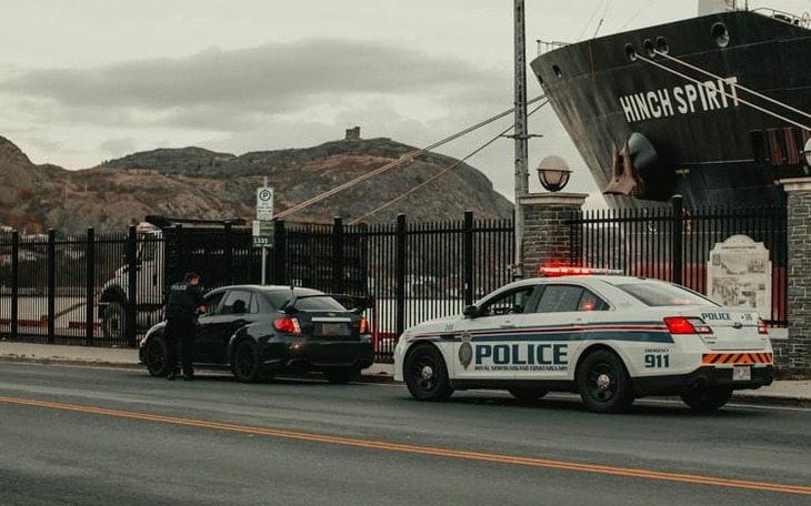 Gà rán hóa khủng long: khi bữa ăn nhanh bỗng thành… vườn thú mini - Ảnh 2.