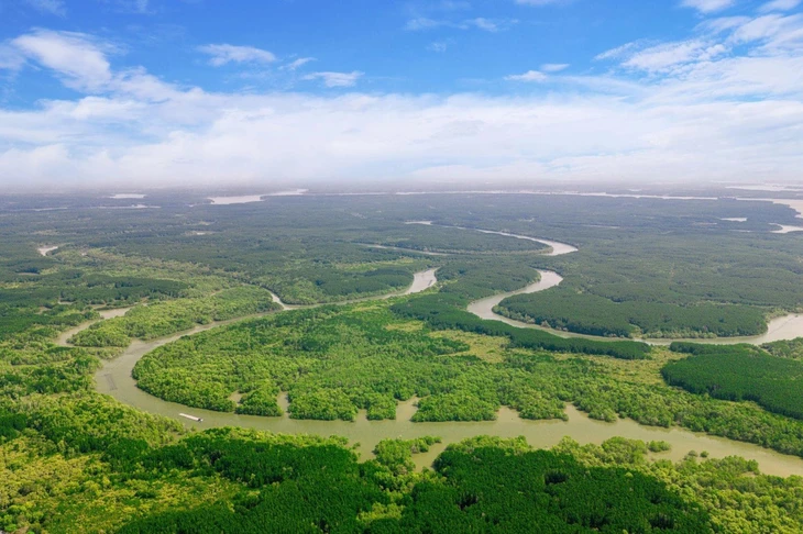 Green Paradise Cần Giờ - Ảnh 1.