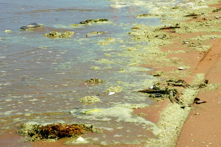 Vũng Tàu - Ảnh 2.