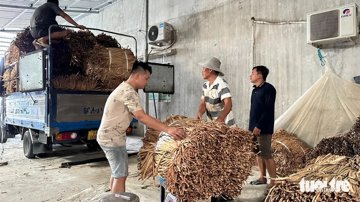 lục bình - Ảnh 3.