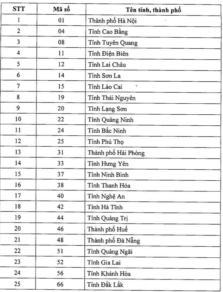 thi tốt nghiệp THPT - Ảnh 2.