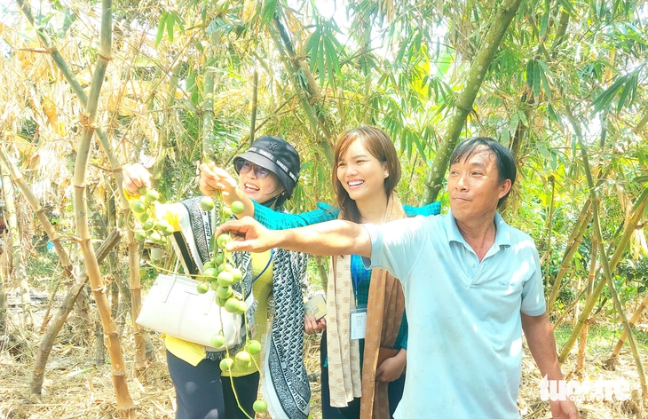 núi Cấm - Ảnh 2.