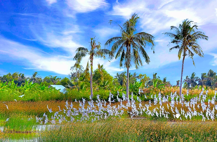 biến đổi khí hậu - Ảnh 2.