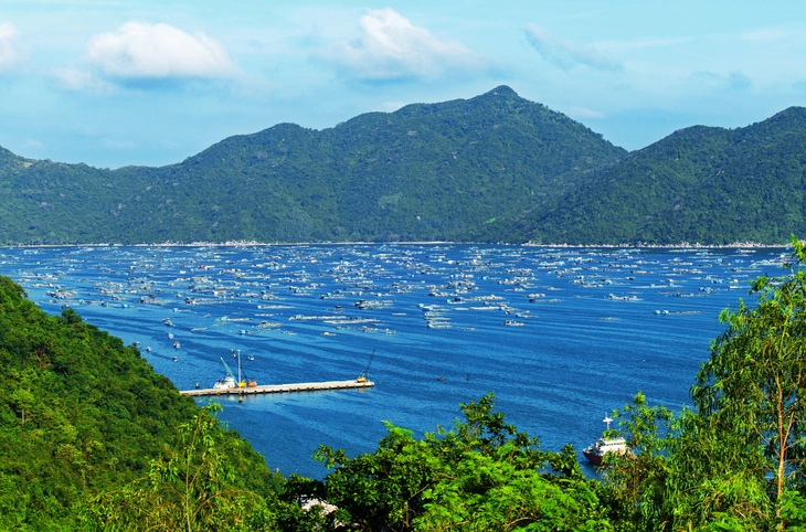 biến đổi khí hậu - Ảnh 4.