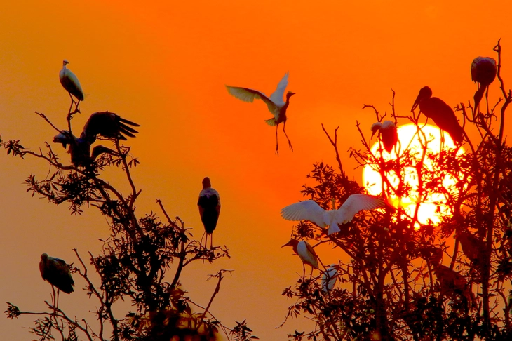 biến đổi khí hậu - Ảnh 7.