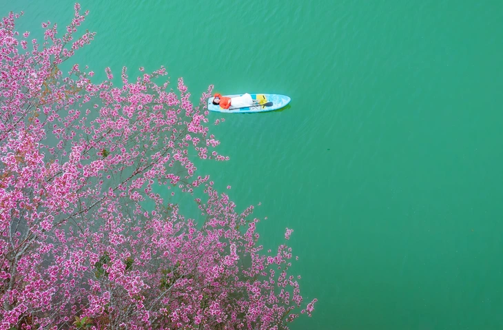 Quảng Ngãi - Ảnh 3.