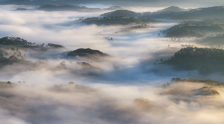 Quảng Ngãi - Ảnh 4.