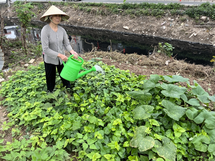 Bắc Hưng Hải - Ảnh 3.