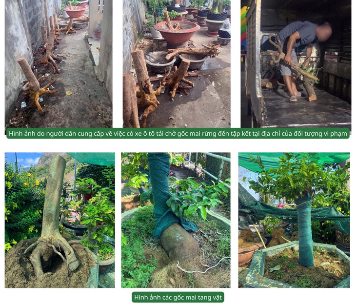 Côn Đảo - Ảnh 2.