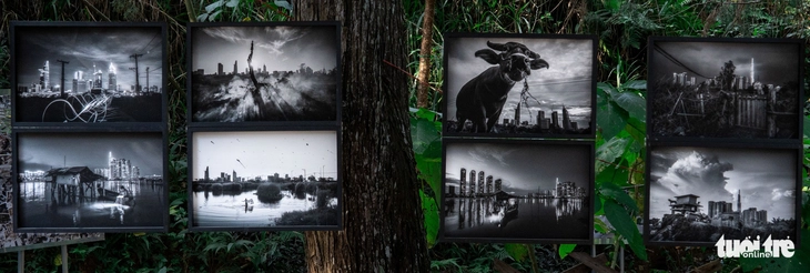 đà lạt - Ảnh 4.