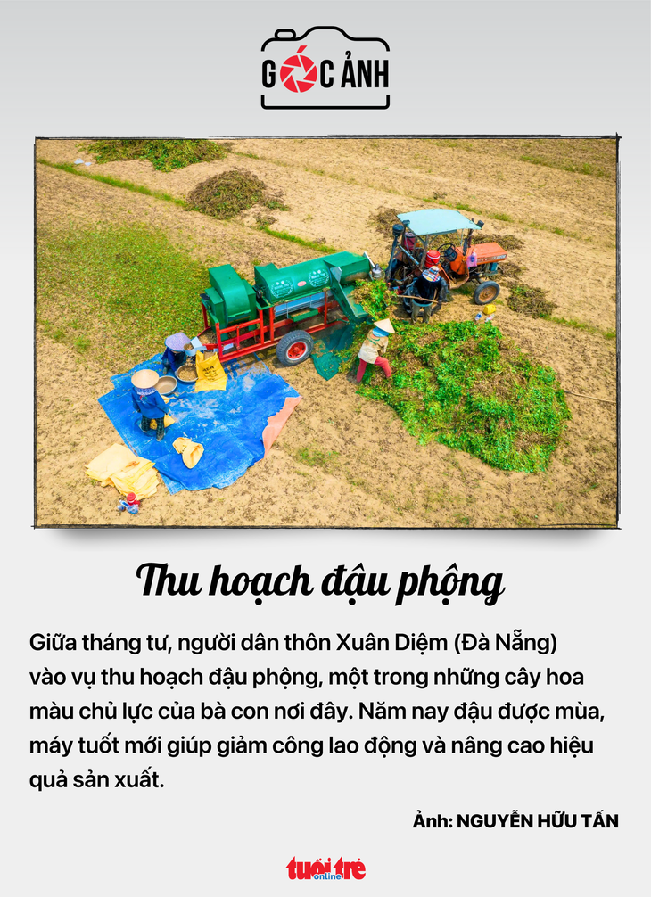 tin tức - Ảnh 6.