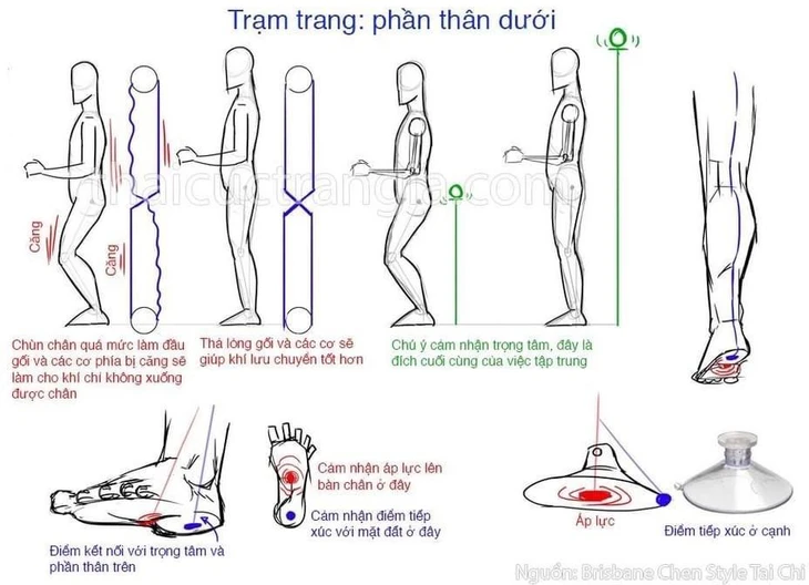 trạm trang công - Ảnh 3.
