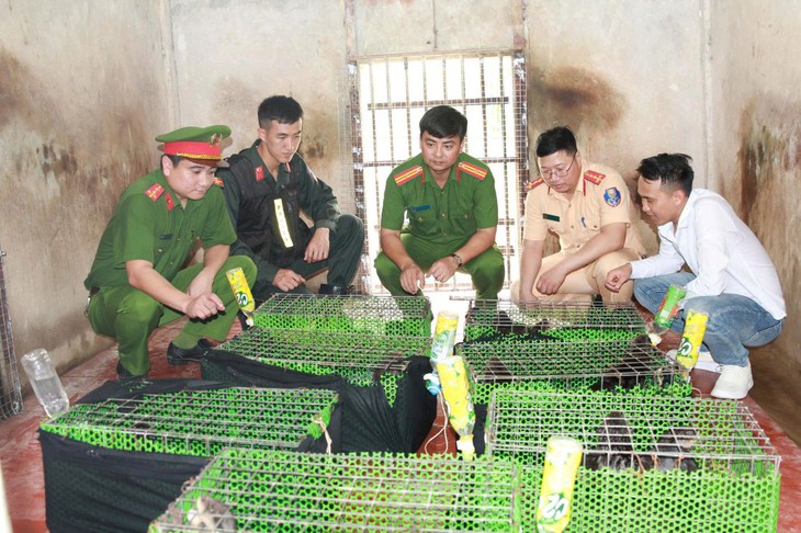 con khỉ - Ảnh 2.