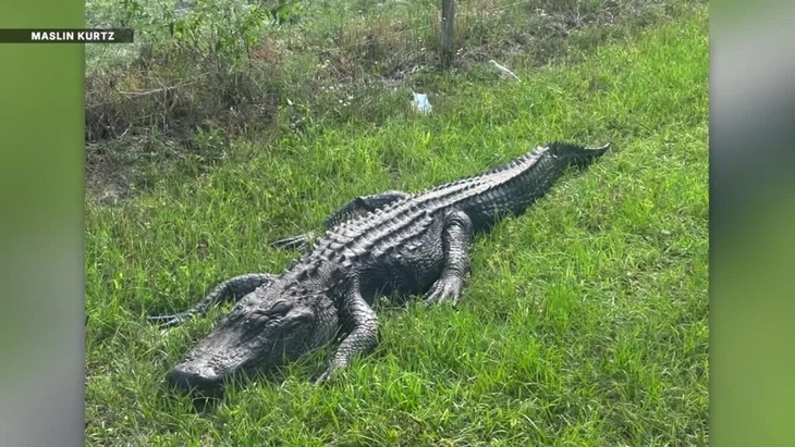 xe bị lật - Ảnh 2.