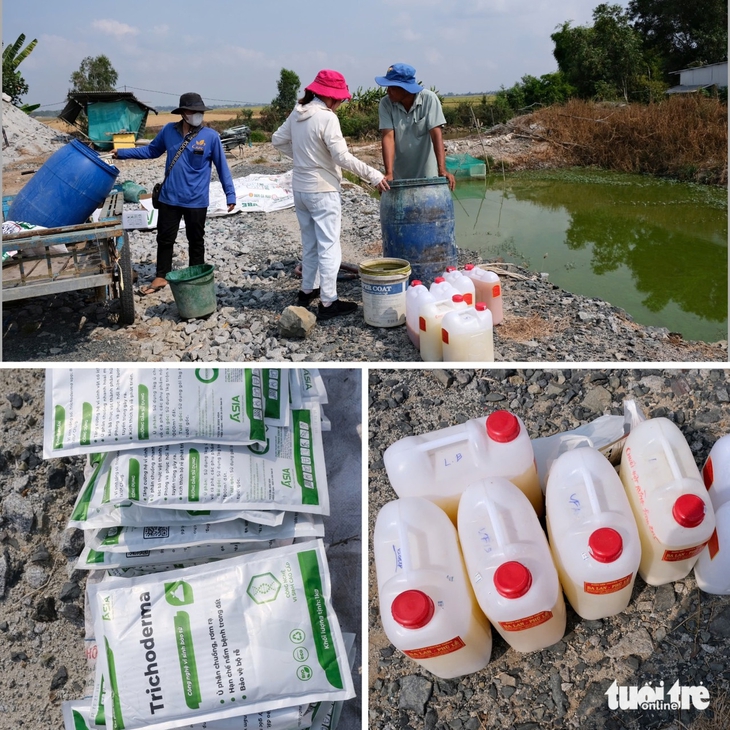 rơm rạ - Ảnh 2.