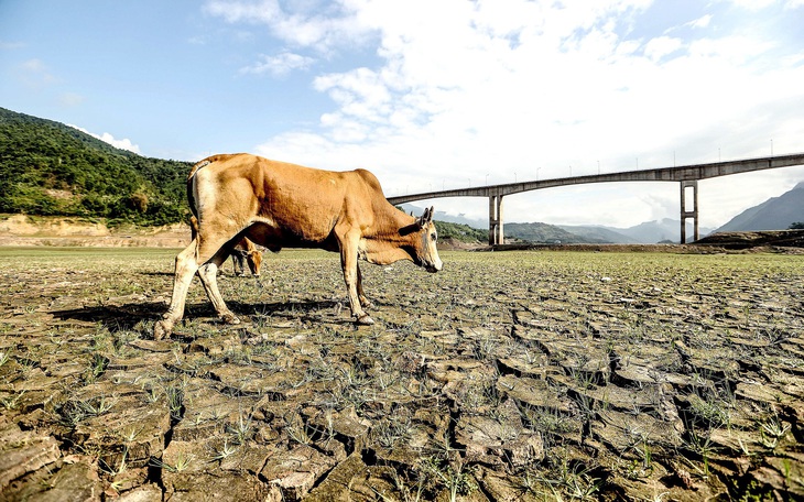 Thời tiết hôm nay 20-4: Bắc Bộ tiếp tục mưa dông, Nam Bộ nắng tăng trở lại - Ảnh 2.