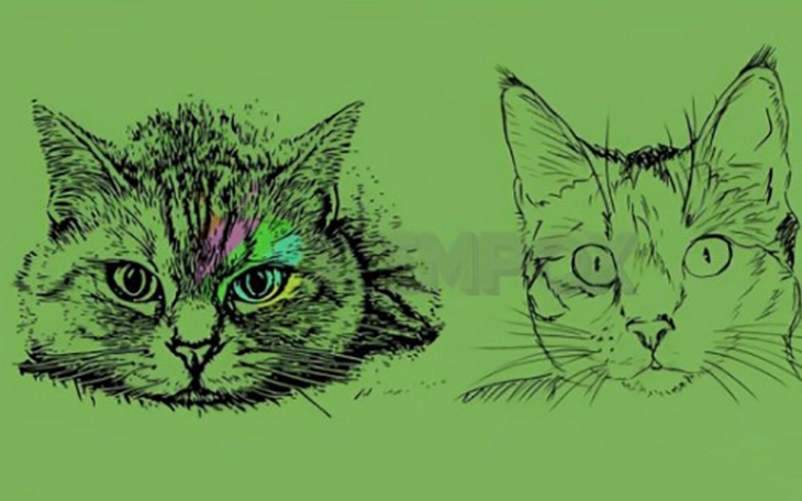 Quiz: Bạn nổi bật với phẩm chất nào? - Ảnh 3.