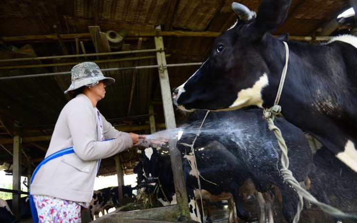 Tăng cường kiểm soát, ngăn chặn vi rút lở mồm long móng tại các sân bay - Ảnh 2.