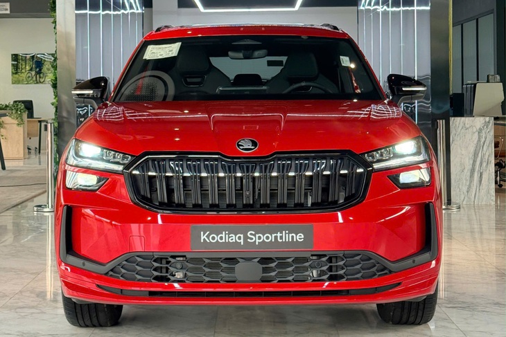 Skoda Kodiaq - Ảnh 2.