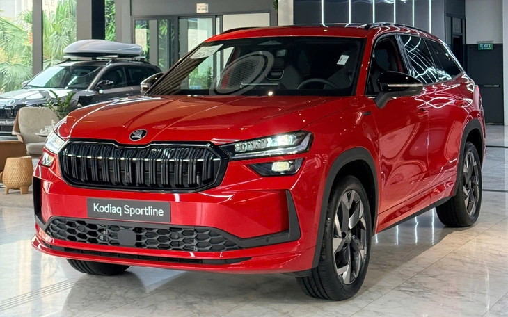 'Xe Hàn suy yếu, xe Trung Quốc chưa mạnh, Skoda còn cơ hội ở Việt Nam nhưng cần làm được điều này' - Ảnh 4.