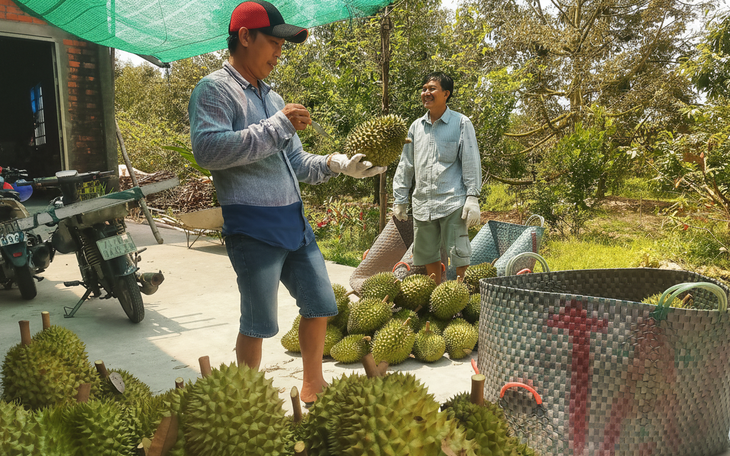 Tình trạng được mùa mất giá, điệp khúc trồng - chặt vẫn là điểm nóng ngành nông nghiệp - Ảnh 3.