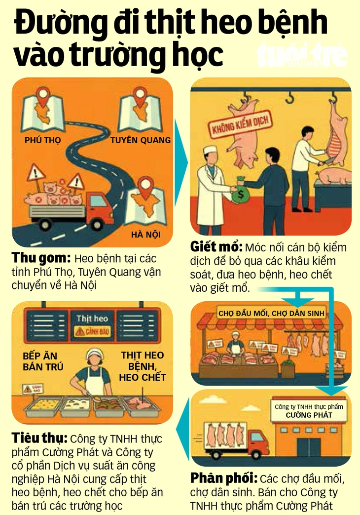 Thịt heo bệnh - Ảnh 3.