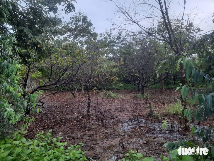 Khói và nước rỉ từ bãi rác ở Đắk Lắk đe dọa môi trường - Ảnh 3.